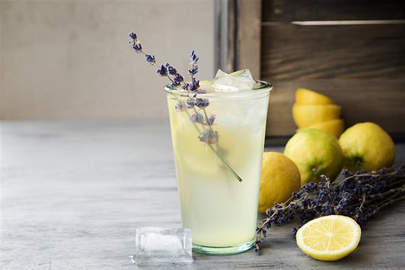 VB's Lemonade